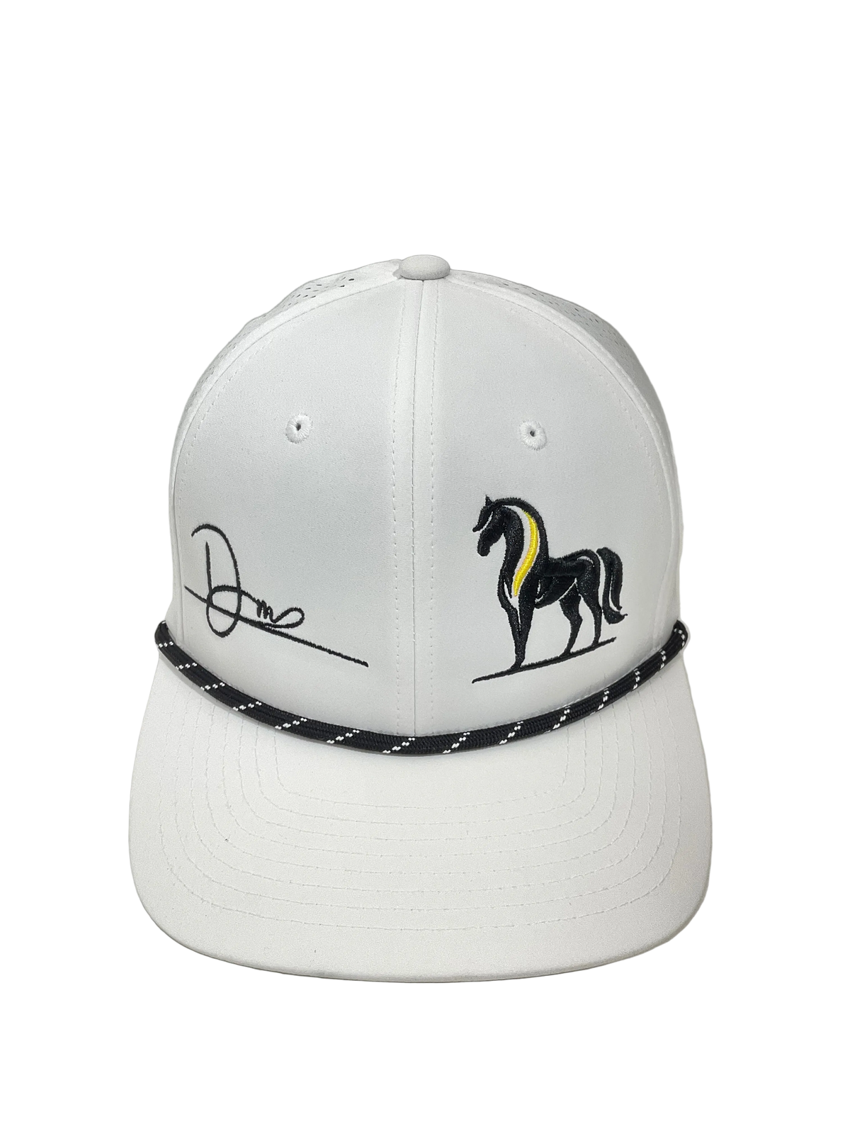 Caballo Dinastia